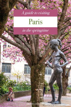 Nine of the best things to do in Paris in spring – discover why Paris makes a great springtime break with its pastel blossoms, street markets, festivals and chocolate-fuelled Easter celebrations | Springtime in Paris | Spring in Paris | Paris in springtime Paris In Spring, Spring In Paris, Springtime In Paris, Things To Do In Paris, Shady Tree, Luxembourg Gardens, Palace Of Versailles, Green Park, Visit Paris