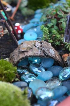 a close up of a small garden with rocks and stones on the ground next to plants