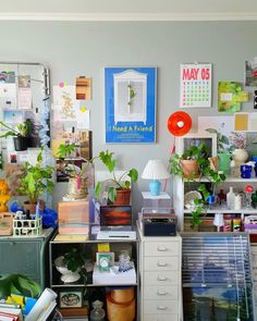 a room filled with lots of plants and pictures on the wall next to each other