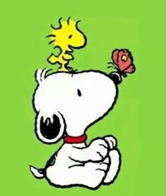 a snoopy dog with a flower on its head sitting in front of a green background