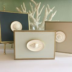 three framed pictures with seashells on them in front of a white and green wall