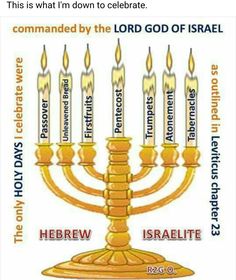 the menorah has seven candles with names in hebrew and english on each candle