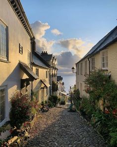 a cobblestone street with houses and flowers on both sides, leading to the ocean