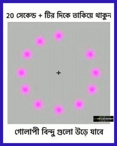 an image with pink circles in the middle