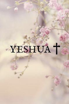 the words yeshuat are written in black on a white background with pink flowers