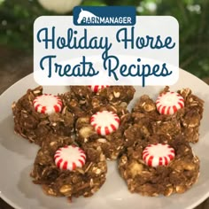 homemade holiday horse treats on a plate