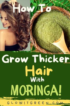 How to grow thicker hair with the power of Moringa? Find out at Glowitgreen.com, the best ways to use Moringa and the healthy hair benefits of this superfood, for thicker, longer, hair! Moringa Hair Growth, Moringa Powder For Hair Growth, Moringa For Hair Growth, Hair Growth Recipes Homemade, Benefits Of Moringa Powder, Superfood Benefits, Moringa Recipes, Benefits Of Moringa, Moringa Benefits