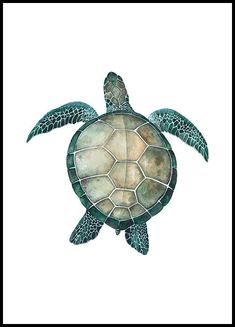 a watercolor painting of a sea turtle