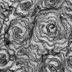 an abstract black and white photo of some sort of flower design on fabric or paper