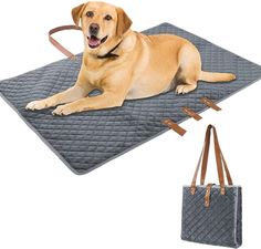 a large dog laying on top of a mat