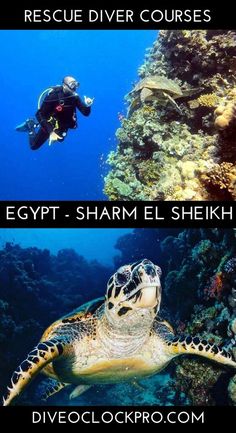 PADI Rescue Diver Course - Sharm Al Shiekh - Egypt Thailand Sunsets, Dive Shop