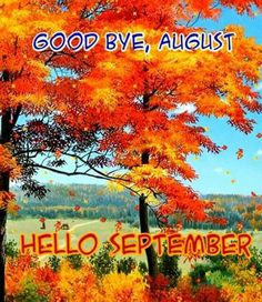 an autumn scene with trees and the words good bye, august