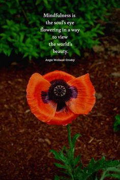 an orange flower with a quote about mindfulness