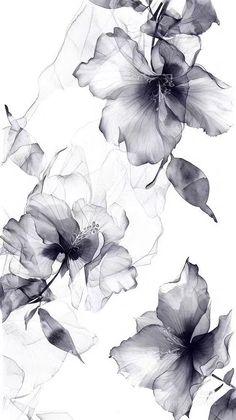 some black and white flowers on a white background