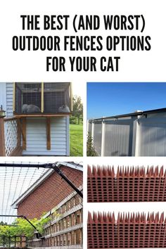 the best and worst outdoor fences options for your cat - cover image with text overlay