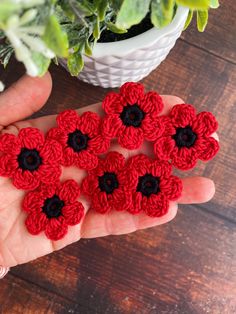 small crocheted red flowers are held in someone's hand