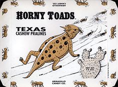 an advertisement for the texas cashew pralies featuring a cheetah and other animals