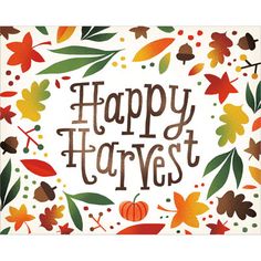 a happy harvest greeting card with leaves and acorns on white background canvas print