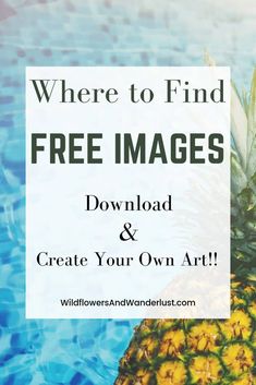 a pineapple with the words where to find free images and create your own art