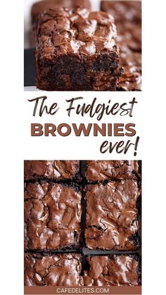 the fudgest brownies ever