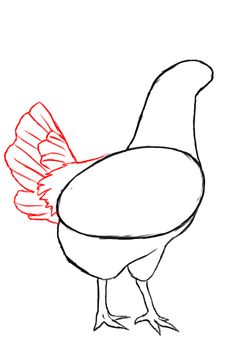 how to draw a chicken step by step