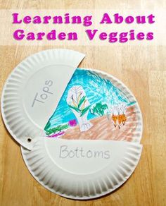 a paper plate with the words learning about garden veggies on it