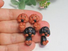 three miniature dachshund puppies sitting on their hind legs in the palm of someone's hand