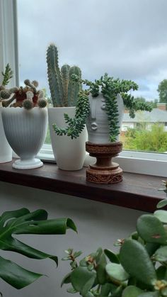 three potted plants sit on a window sill