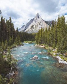 a river running through a forest filled with lots of green and blue water surrounded by tall pine trees