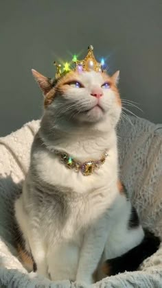 a cat wearing a tiara sitting in a bed