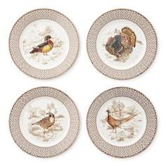 four plates with different types of birds on them