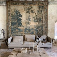 a dog sitting on a couch in front of a wall hanging with a tapestry behind it