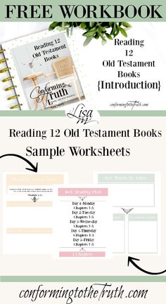 the free workbook for reading old testament books and sample worksheets is shown