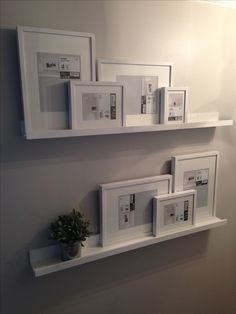 some white shelves with pictures and a potted plant