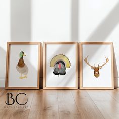 three framed pictures with different types of animals in them on a wooden floor next to a white wall