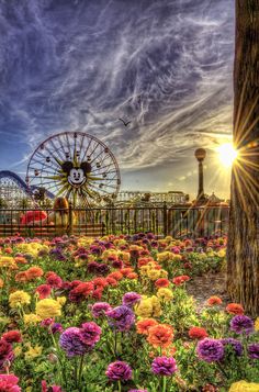 the sun is setting over an amusement park with colorful flowers and ferris wheel in the background