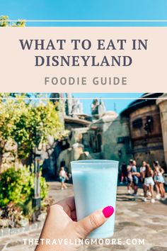 the disneyland food guide with text overlay that reads what to eat in disney land