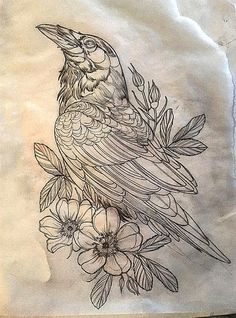 a drawing of a bird sitting on top of a tree branch with flowers around it