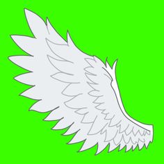 an angel wing on a green background