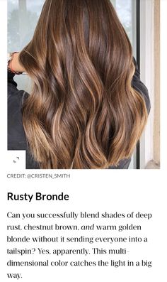 Light Brown Bronze Hair, Bronzed Brown Hair Color, Honey Bronze Hair, Bronze Highlights On Brown Hair, Walnut Balayage, Bronze Brunette Hair, Light Chestnut Brown Hair Color, Golden Bronze Hair Color, Bronze Brown Hair