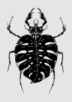 a black and white drawing of a bug