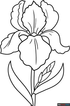 a flower that is outlined in black and white