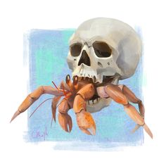 a drawing of a skull and crab bones