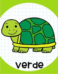 a green and yellow turtle with the word verbde