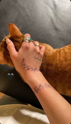 a person holding an orange cat's paw while it lays down