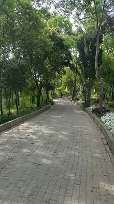 an empty brick road surrounded by trees and flowers