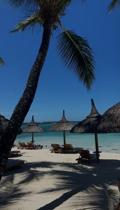 the beach is lined with umbrellas and lounge chairs under palm trees on a sunny day