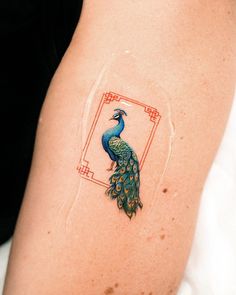 a peacock tattoo on the back of a woman's left arm, with an orange frame around it