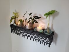 a shelf with candles and plants on it