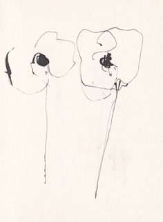 an ink drawing of two flowers on a white paper